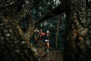 BIB: 
                            <button type="button" onclick="openModal(25673289)" class="btn btn-primary btn-sm float-right btn-popup" data-toggle="modal" data-target=".modal-high-quality">
                        <i class="fas fa-shopping-cart"></i> Add to Cart
                    </button>
                                            <button type="button" onclick="isThisMe(25673289, true)" class="btn btn-success btn-sm float-right btn-popup btn-isme hidden" data-toggle="tooltip" data-placement="bottom" title="นี่คือรูปของคุณใช่ไหม คลิกที่นี่เพื่อเอาเข้าอัลบั้ม">
                        <i class="fas fa-plus"></i> Add to album
                    </button>
                    <button type="button" onclick="isThisMe(25673289, false)" class="btn btn-warning btn-sm float-right btn-popup btn-isnotme hidden">
                        <i class="fas fa-ban"></i> Remove from album
                    </button>